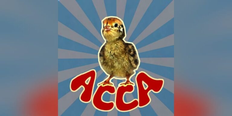 A Chick Called Albert