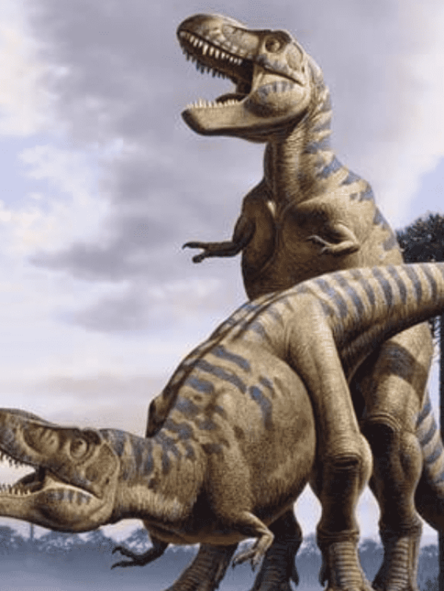 Why does T-Rex have Tiny Arms?