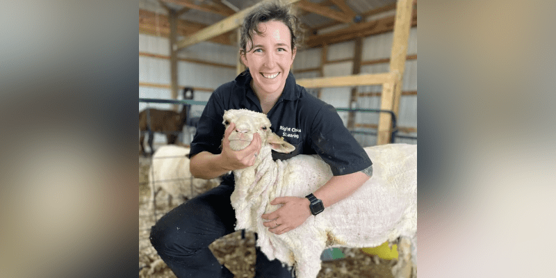 Right Choice Shearing