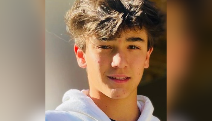 Knox Van Mol