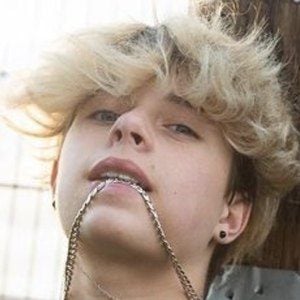Gavin Magnus