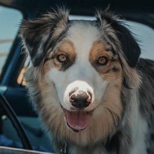 Benji Hensler Benji Hensler