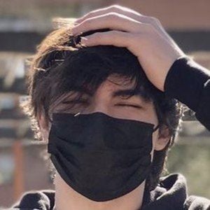 sdesergi0