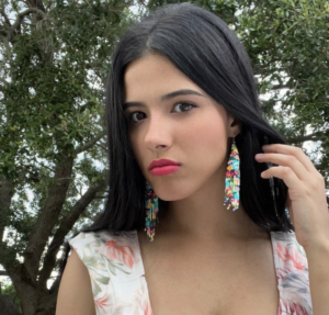 Who is Strawberrytabby? Wiki, Biography, Net Worth, Age, Boyfriend